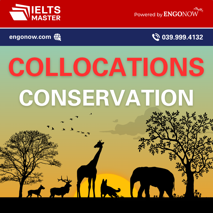 từ vựng collocations chủ đề bảo tồn